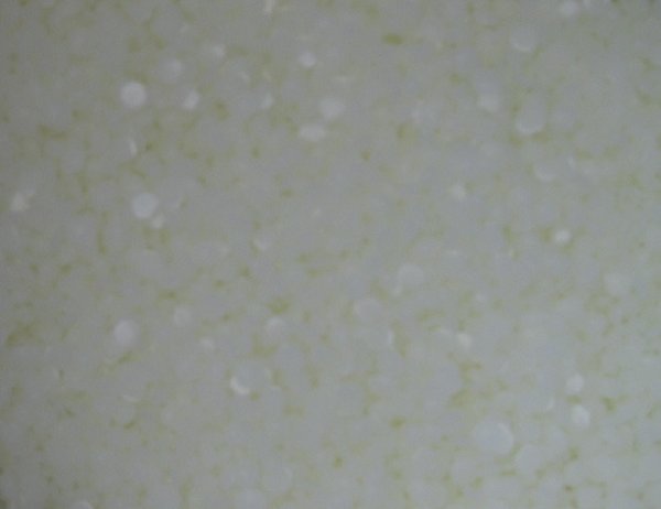 Cosmoloid H80 - Mikrokristallines Wachs - 500 g in Pastillen